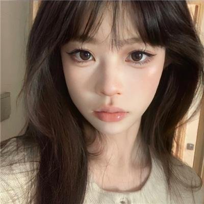 企鹅之岛:福克兰